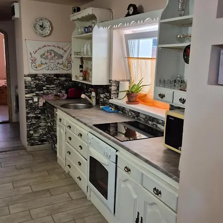 Tavirozsa Vendeghaz Prázdninový dům Békés